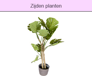 Zijden planten