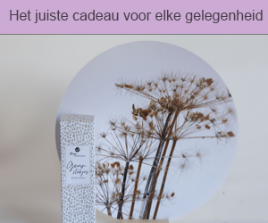 Cadeau